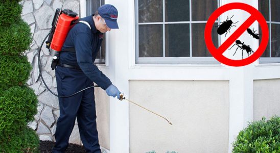 Karacabey Bit İlaçlama böcek ilaçlama ve haşere kontrolü — ilaclama-tr.com